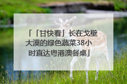 「甘快看」长在戈壁大漠的绿色蔬菜38小时直达粤港澳餐桌