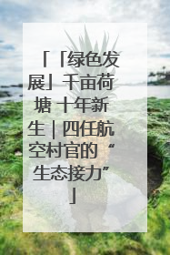 「绿色发展」千亩荷塘 十年新生｜四任航空村官的“生态接力”