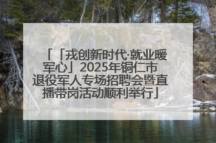 「戎创新时代·就业暖军心」2025年铜仁市退役军人专场招聘会暨直播带岗活动顺利举行