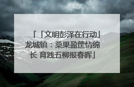 「文明彭泽在行动」龙城镇：桑果盈筐情绵长 育践五柳报春晖