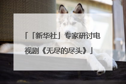 「新华社」专家研讨电视剧《无尽的尽头》