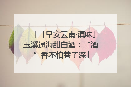 「早安云南·滇味」玉溪通海甜白酒：“酒”香不怕巷子深