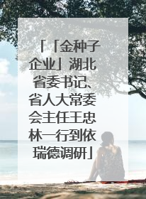 「金种子企业」湖北省委书记、省人大常委会主任王忠林一行到依瑞德调研