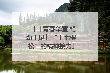 「青春华章·赣劲十足」“十七棵松”的精神接力