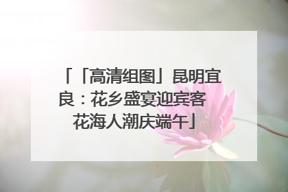 「高清组图」昆明宜良：花乡盛宴迎宾客 花海人潮庆端午