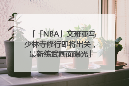 「NBA」文班亚马少林寺修行即将出关，最新练武画面曝光