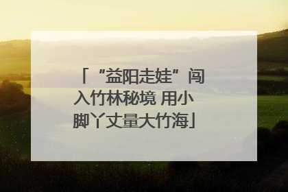 “益阳走娃”闯入竹林秘境 用小脚丫丈量大竹海