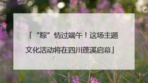 “粽”情过端午！这场主题文化活动将在四川蓬溪启幕