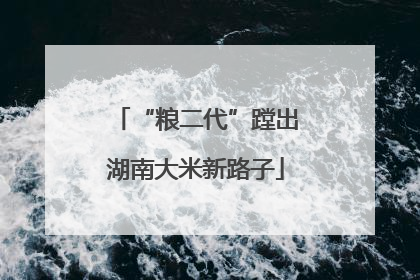 “粮二代”蹚出湖南大米新路子