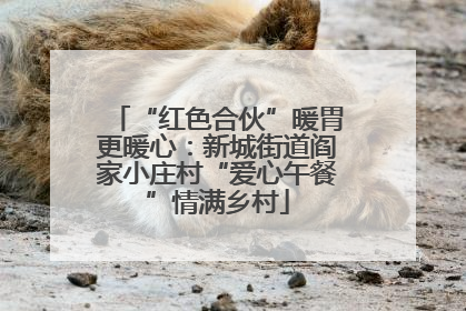 “红色合伙”暖胃更暖心：新城街道阎家小庄村“爱心午餐”情满乡村