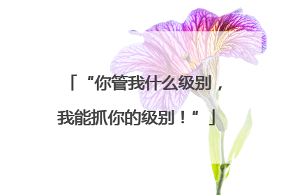 “你管我什么级别，我能抓你的级别！”