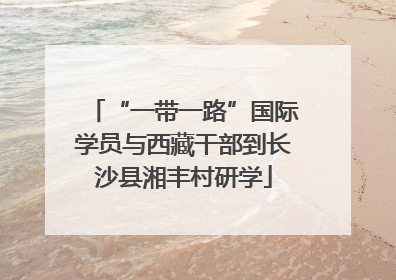 “一带一路”国际学员与西藏干部到长沙县湘丰村研学