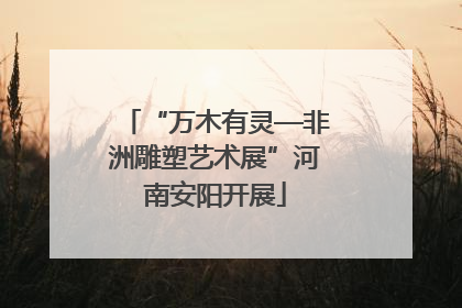 “万木有灵—非洲雕塑艺术展”河南安阳开展