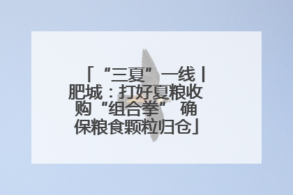“三夏”一线丨肥城：打好夏粮收购“组合拳” 确保粮食颗粒归仓