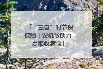 “三夏”时节探保障｜农机贷助力夏粮收满仓
