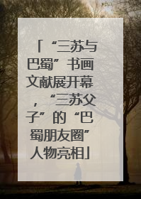 “三苏与巴蜀”书画文献展开幕，“三苏父子”的“巴蜀朋友圈”人物亮相