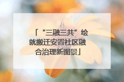 “三融三共”绘就搬迁安置社区融合治理新图景