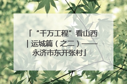 “千万工程”看山西｜运城篇（之二）——永济市东开张村