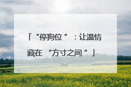 “停狗位 ”：让温情藏在 “方寸之间 ”