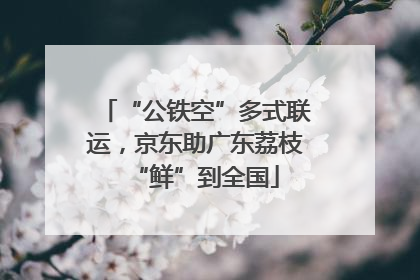 “公铁空”多式联运，京东助广东荔枝“鲜”到全国