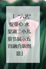 “六艺”绽童心 水果湖二小儿童节展示五育融合新图景