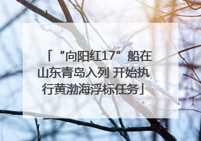 “向阳红17”船在山东青岛入列 开始执行黄渤海浮标任务