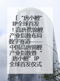 “唐小鲤”IP全球首发！高唐携锦鲤产业指数布局数字赛道——中国高唐锦鲤产业指数暨“唐小鲤”IP全球首发仪式在杭州举行