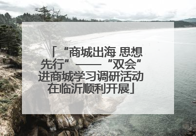 “商城出海 思想先行”——“双会”进商城学习调研活动在临沂顺利开展
