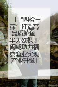 “四检三筛”打造高品质鲈鱼 半天妖携手闽威助力福鼎渔业实现产业升级