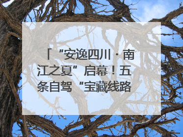 “安逸四川・南江之夏”启幕！五条自驾“宝藏线路”串联避暑胜地