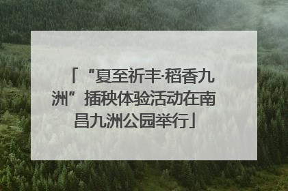 “夏至祈丰·稻香九洲”插秧体验活动在南昌九洲公园举行