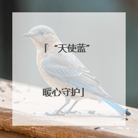 “天使蓝” 暖心守护