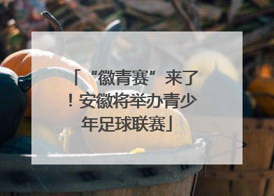 “徽青赛”来了！安徽将举办青少年足球联赛