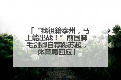 “我祖籍泰州，马上能出战！”前国脚毛剑卿自荐踢苏超，体育局回应