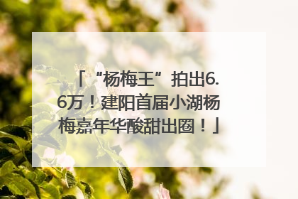 “杨梅王”拍出6.6万！建阳首届小湖杨梅嘉年华酸甜出圈！