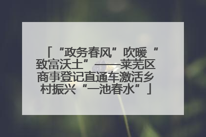 “政务春风”吹暖“致富沃土”——莱芜区商事登记直通车激活乡村振兴“一池春水”