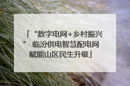 “数字电网+乡村振兴” 临汾供电智慧配电网赋能山区民生升级