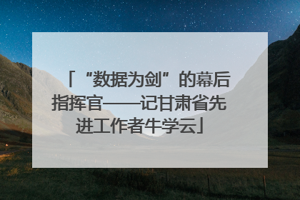 “数据为剑”的幕后指挥官——记甘肃省先进工作者牛学云