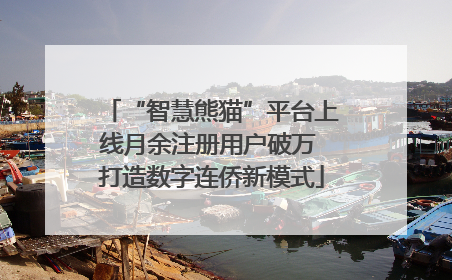 “智慧熊猫”平台上线月余注册用户破万 打造数字连侨新模式