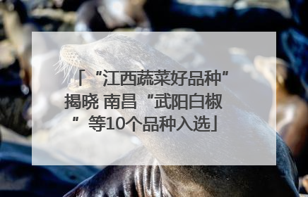“江西蔬菜好品种”揭晓 南昌“武阳白椒”等10个品种入选