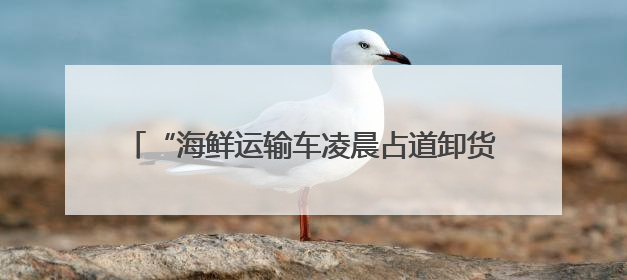 “海鲜运输车凌晨占道卸货，噪声扰民” 海口博爱街道城市综合行政执法中队：将联合交警加强长堤路一带巡逻