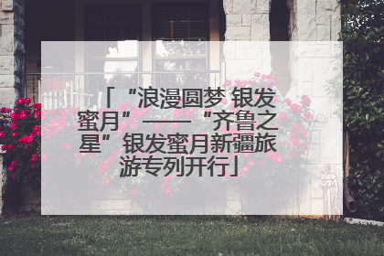 “浪漫圆梦 银发蜜月”——“齐鲁之星”银发蜜月新疆旅游专列开行