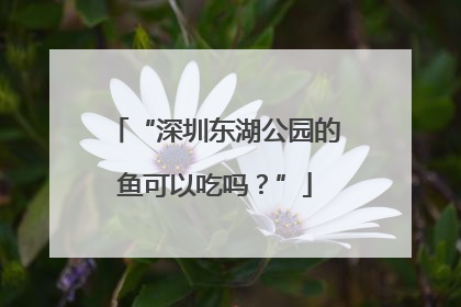 “深圳东湖公园的鱼可以吃吗？”