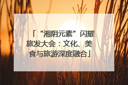 “湘阴元素”闪耀旅发大会：文化、美食与旅游深度融合
