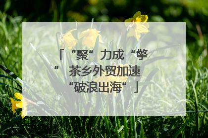 “聚”力成“擎” 茶乡外贸加速“破浪出海”