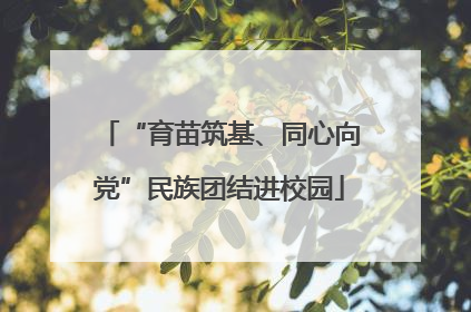 “育苗筑基、同心向党”民族团结进校园