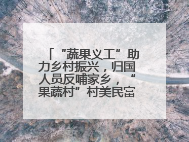 “蔬果义工”助力乡村振兴，归国人员反哺家乡，“果蔬村”村美民富香飘远近