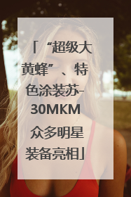 “超级大黄蜂”、特色涂装苏-30MKM 众多明星装备亮相