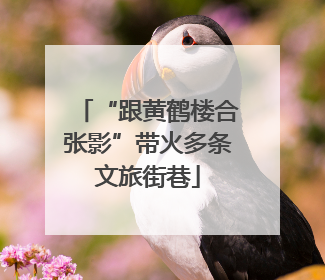 “跟黄鹤楼合张影”带火多条文旅街巷