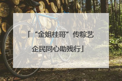 “金姐桂哥”传粽艺 企民同心助残行